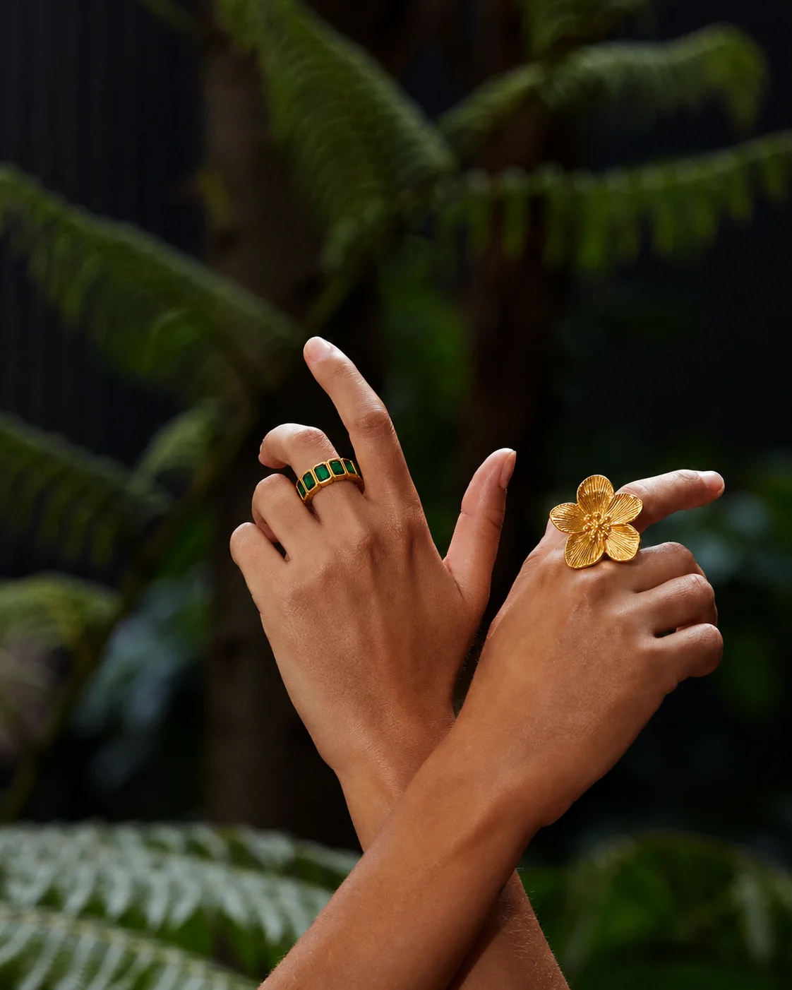 Anillos