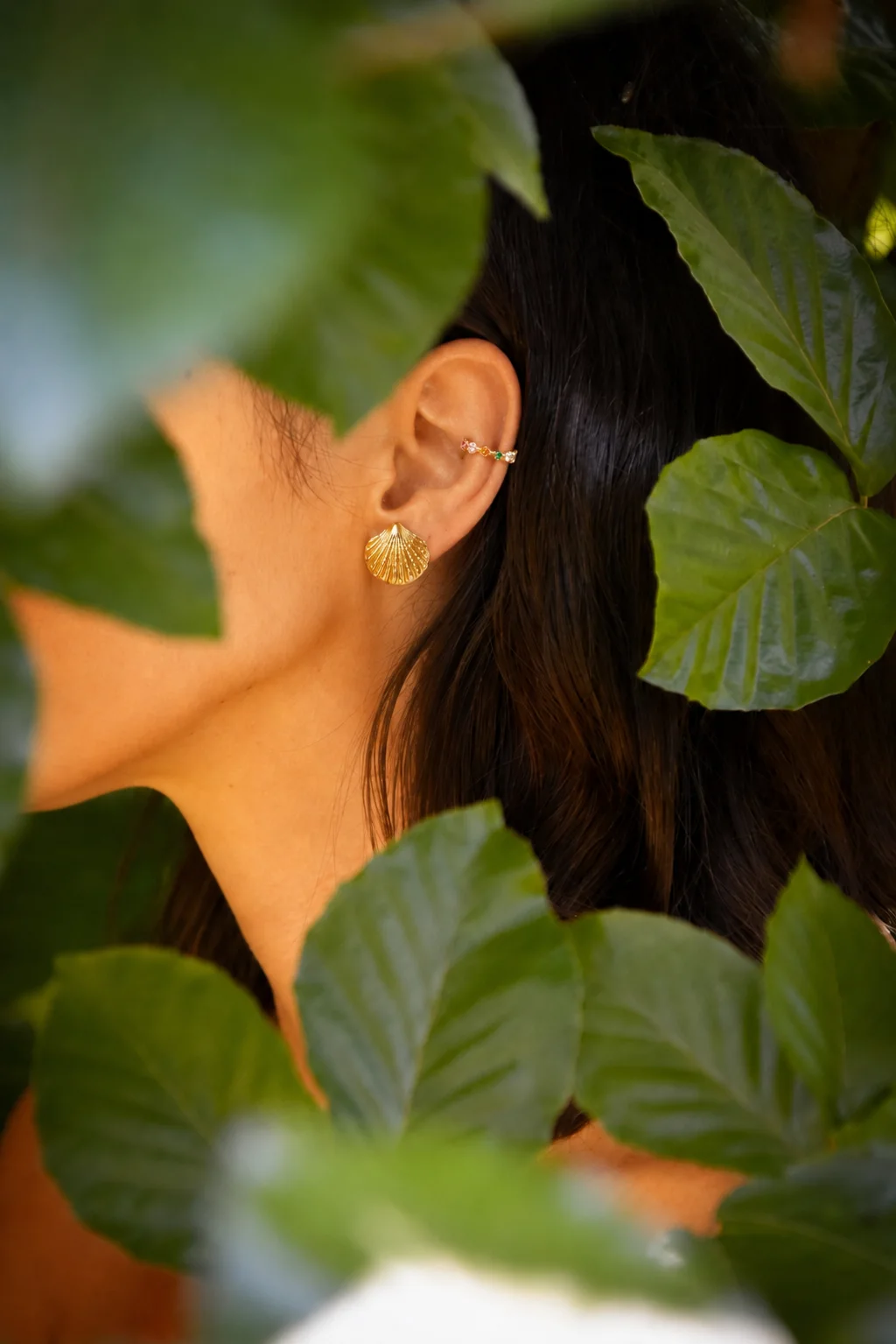 Aretes